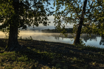 Nebliger Morgen / ***