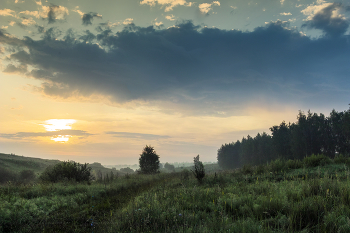 July morning / July morning