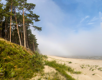 Nebel und Sonne / ***