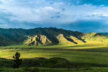 Altai-Gebirge / ***
