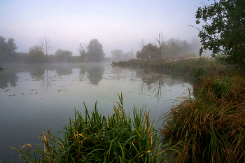Misty / ***