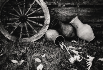 Der Geruch des Herbstes / ***