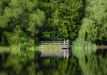 Am Ufer des Teiches / ***