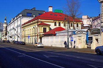 Milchkraut / ***