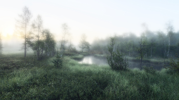 Morgendämmerung / ***