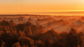 Sonnenaufgang im Wald / ***