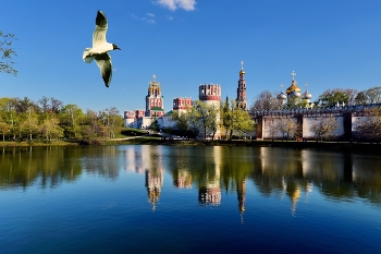 Novospassky Kloster / ***
