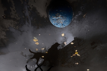 Zentaur / ***