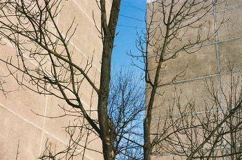 Himmel / ***