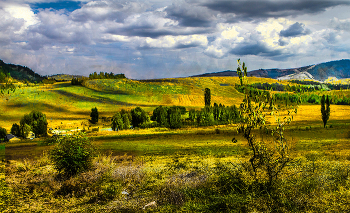 Herbstmotiv / ***