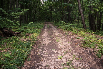 Farewell Yellow Brick Road / ***