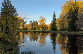  / https://irina-pro-photo.ru/pavlovsk