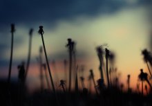 Bei Einbruch der Nacht / ~~~~~
