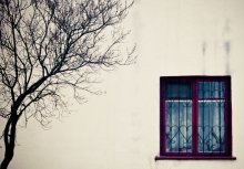 Fenster / ***