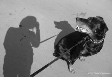 ... Mit einem Hund / ***