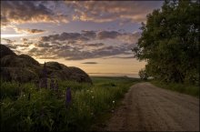 Abend / ------