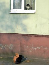 Verhandlungen / ***