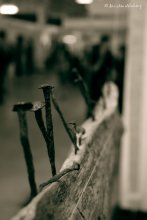 Industrial Pilze / ***