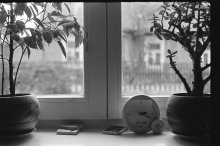 Fenster der Küche / ***