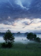 Abend ... dunstig ... / ***