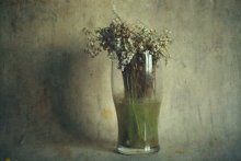 Lilien / ***