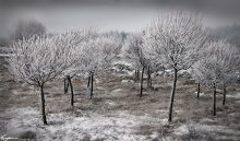 Winter ... / ......