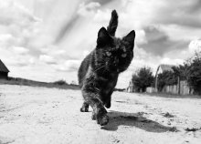 jungen Dorfbewohner / ***