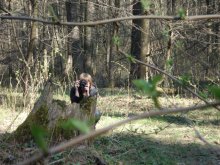 PhotoHunt / ***