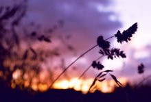Sunset Schattierungen von lila / .....