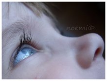 eye / ............
