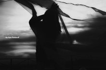 Stepp / ***