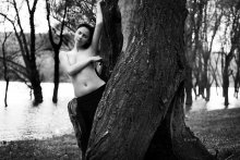 Im Baum / *******