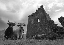 Castle Guards / KISTANI Castle, in shatili (Georgia)