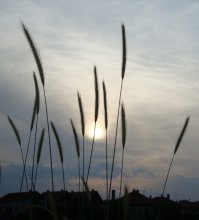 Ruhige Nacht / *****