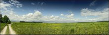 Field Stimmung / .............