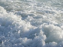 Wave / ***