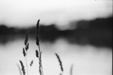 b&w life / ***
