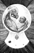 posthuman / posthuman