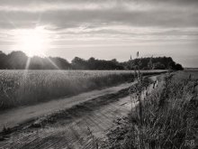 Kolosov Feld ... / ***