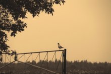 Richtung / *****