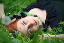 Blumen des menschlichen Lebens ... / ------