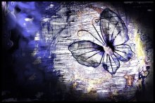 Night-Fly / ,,,,,,,,,