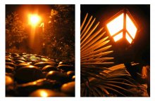 Golden Night / ***