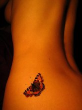 Ich mag eine Motte um eine Flamme / ***