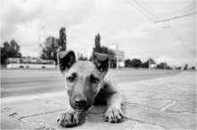 City Life II / ***