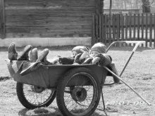 Kindheit / *****