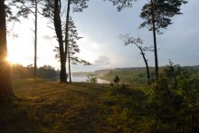 Bald Mountain / ***