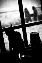 Milch / ***