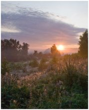 Summer Morning / **********