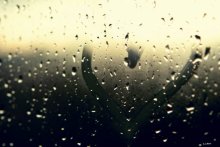 Nach dem Regen / ________